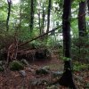 20180814_075632